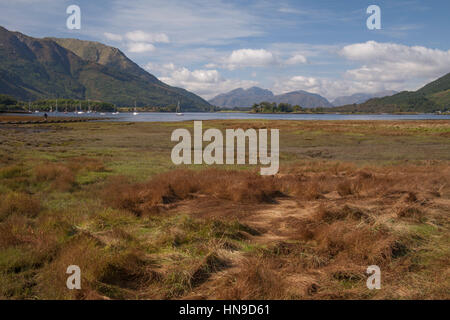 Loch Leven at Glen coe, highland, scotland, uk with large meadow. Stock Photo