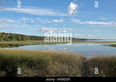 View along the Hudson River from the Ruth Reynolds Glunt Nature Preserve, Saugerties, New York State, United States.