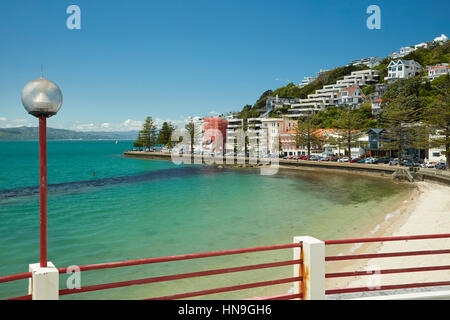 Beach at Oriental Bay, Wellington, North Island, New Zealand Stock Photo