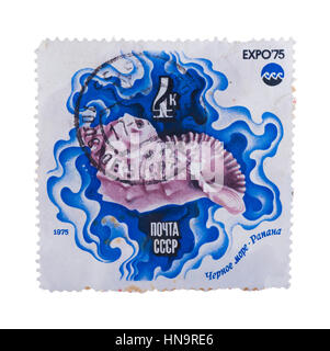 USSR- CIRCA 1975: A stamp printed in the  shows sea royal sh Stock Photo