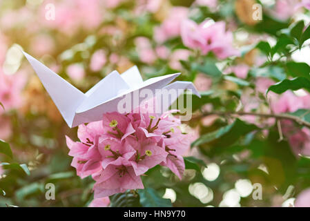 one white paper swan sit on pink flower with blurred background Stock Photo