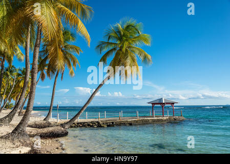 beach of Plage de la Caravelle in Guadeloupe Stock Photo