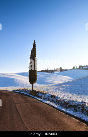 Lonely cypress tree and snow in winter season. Rural landscape. Val d Orcia, Tuscany, Italy Stock Photo