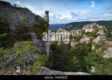 La Roque-Sainte-Marguerite (south of France): blockfield 'chaos de Montpellier-le-Vieux' Stock Photo