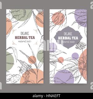 Set of two vector herbal tea labels with ginger and ginseng hand drawn sketch. Stock Vector