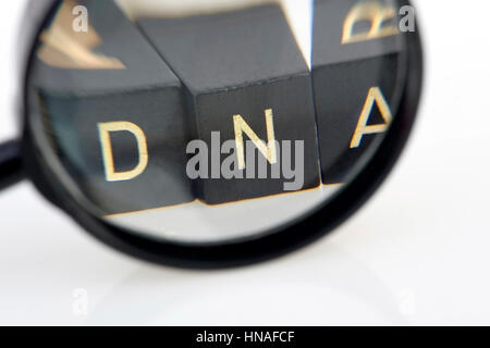 Symbolbild DNA unter der Lupe - symbolic for DNA under loupe Stock Photo