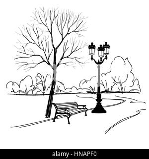 Bench in park with tree and streetlamp. City park landscape. Vector hand drawn sketch. Stock Vector