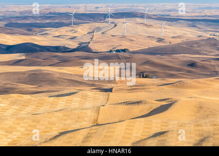 Agriculture in the Washington State Stock Photo