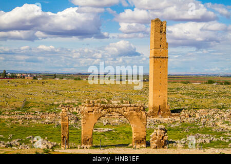 This is the picture of the World's first university, Harran University. The remainings of the university is located in Sanliurfa, Turkey. The shot was Stock Photo