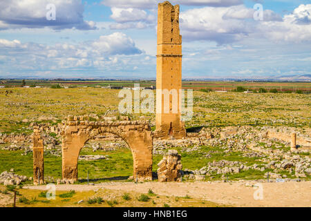 This is the picture of the World's first university, Harran University. The remainings of the university is located in Sanliurfa, Turkey. The shot was Stock Photo