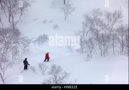 skiing, Skiers in Asahidake, Daisetsuzan National Park,Hokkaido, Japan Stock Photo