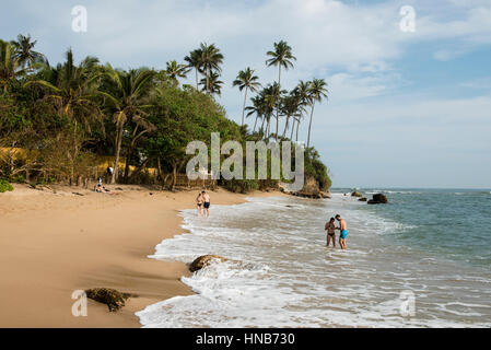 Beach, Weligama, Sri Lanka Stock Photo