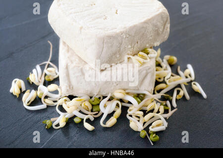 Raw tofu pieces on a stone base of the board and soybeans, the raw material from which we get the tofu. Stock Photo