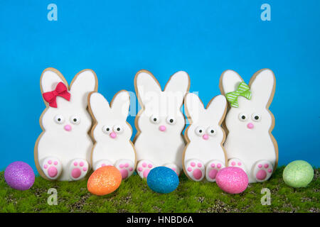 Easter Bunny Sugar Cookies homemade covered in home made marshmallow fondant, decorated with candy eyes, nose, feet and bow Large and small bunnies st Stock Photo