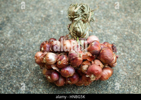 Premium Photo  Shallots or red onion purple shallots on basket fresh  shallot for medicinal products or herbs and spices thai food made from this  raw shallot