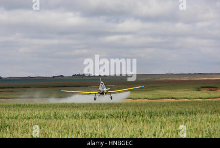 Scenic view of a crop-sprayer flying low over a field of mielies (zea mays) Stock Photo