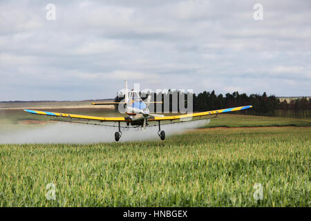 Scenic view of a crop-sprayer flying low over a field of mielies (zea mays) Stock Photo