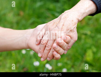 Doctor's hand holding a wrinkled elderly hand Stock Photo