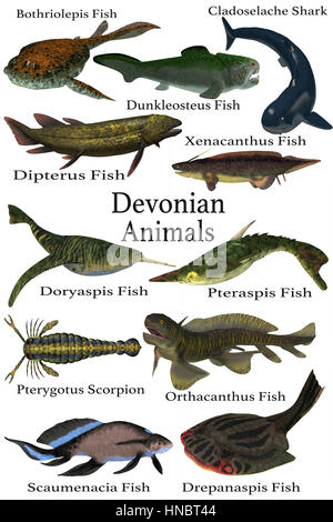 Devonian Animals - A collection of various aquatic animals that lived during the Devonian Period of Earth's history. Stock Photo