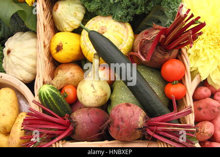 Allotment Grown Fruits, Flowers And Vegetables Displayed At A Stock 