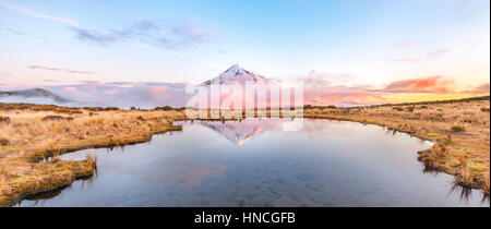 Reflection in Pouakai Tarn lake, pink clouds around stratovolcano Mount Taranaki or Mount Egmont at sunset, Egmont National Park Stock Photo