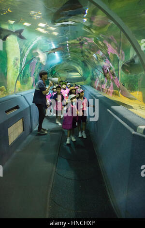 Chiang Mai, Thailand - Sepember 7, 2016: people watching fishes and having fun together on a day trip at Chiang Mai zoo aquarium in Chiang Mai, Thaila Stock Photo