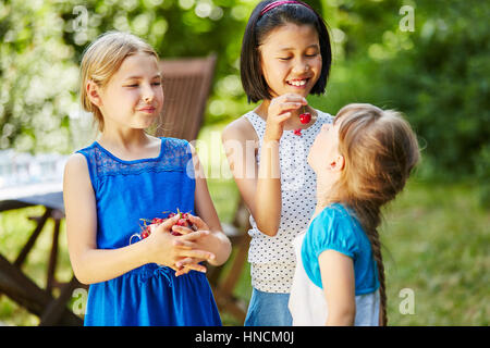 Children eating fresh cherries together in summer in the garden Stock Photo