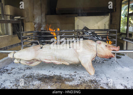 Roasting suckling pig on the broach in the coals Stock Photo