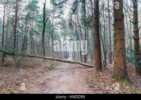 Concept of unexpected obstacle in our life and in our path. Obstacle in isolated place to be faced alone; a loss of time Stock Photo