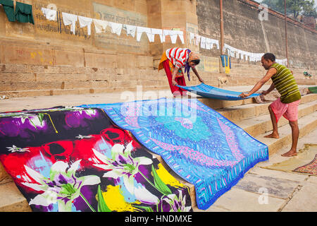 Tending the Laundry for drying, Dasaswamedh Ghat, in Ganges river, Varanasi, Uttar Pradesh, India. Stock Photo