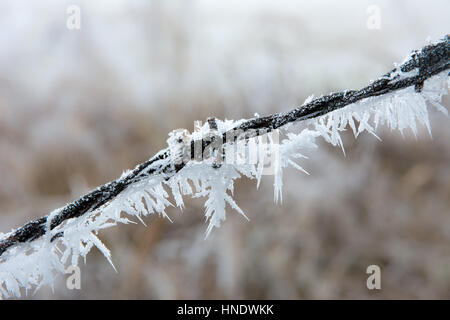 Closeup of frozen barbwire with ice crystals Stock Photo