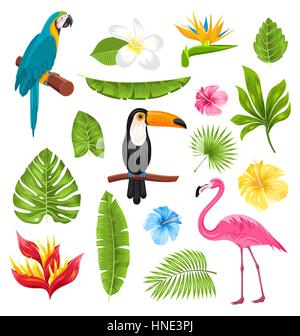 Illustration Set Tropical Flowers, Exotic Birds and Plants. Collection Elements Isolated on White Background - Vector Stock Vector
