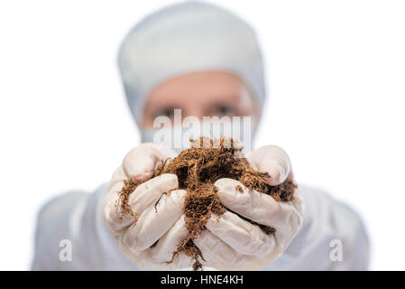 Specialist biologist holds a soil sample, hand in the focus close-up Stock Photo