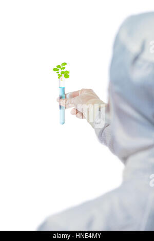 test tube with plant specimens in the hands a laboratory assistant on a white background Stock Photo