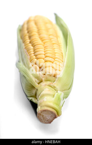 Corn on white background - studio shot Stock Photo