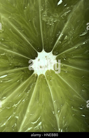 Lime slices on white background Stock Photo