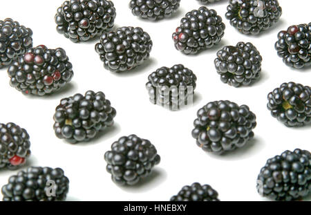 Studio shot of blackberries on white background Stock Photo