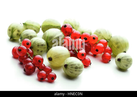 Gooseberries and redcurrants on white background Stock Photo