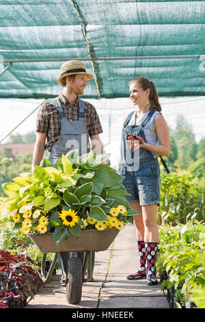 Smiling gardeners discussing while pushing plants in wheelbarrow at greenhouse Stock Photo