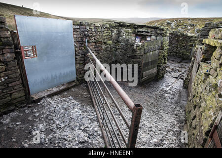 Interior of a currently used sheepfold, showing gates to control stock, Yorkshire Dales National Park Stock Photo