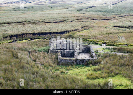 Sheepfold with stone hut at Black Scar, Birkdale, Yorkshire Dales. Located besides Birkdale Beck on Birkdale Common, so probably a washfold. Stock Photo