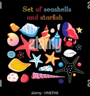 Vector set of sea shells and starfish on a dark background Stock Vector