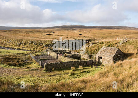 Sheepfold and shepherd's hut besides Little Sleddale Beck, Birkdale, Yorkshire Dales National Park Stock Photo