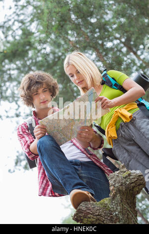 Low angle view of hiking couple reading map together in forest Stock Photo