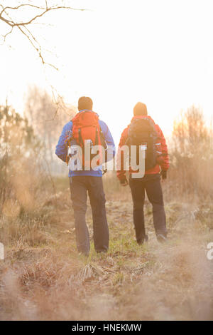 Rear view of male hikers with backpacks standing in field Stock Photo