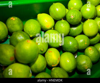 Close-up of green lemons on display in grocery store Stock Photo