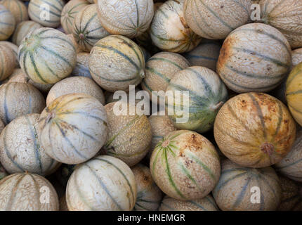 Close-up view of melons in market Stock Photo