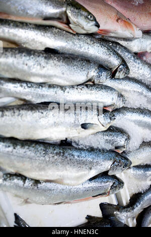 Full frame shot of freshly caught fishes