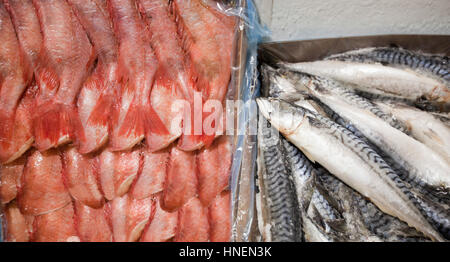 Close-up of freshly caught fishes in container Stock Photo