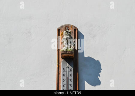 Wall thermometer. A device for measuring the ambient air temperature.  Ornament of the owl, decoration appliance thermometer Stock Photo - Alamy